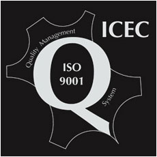Logo_ISO9001_ICEC_230x230